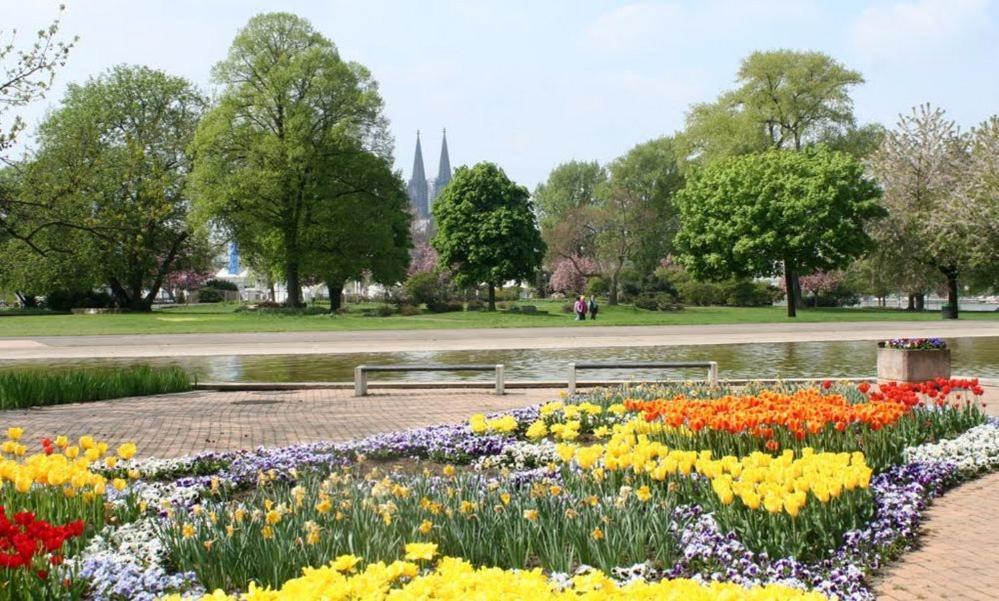 Cityperle Ruhiges Komfort Apartment Naehe Dom - Sommertime Am Rhein - Apartment *